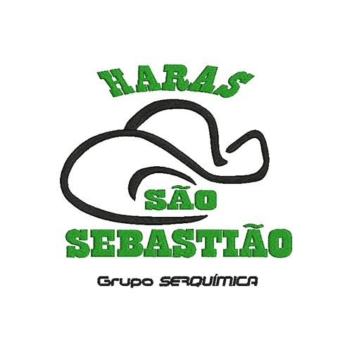 Bordado-1